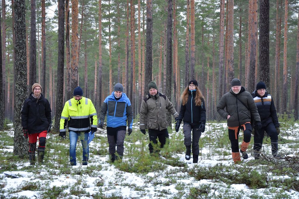 Pannasta Päässyt Metsien Jatkuva Kasvatus Kiinnostaa Yhä Useampaa ...